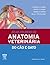 Atlas Colorido de Anatomia Veterinária do Cão e Gato by Stanley H. Done