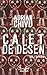 Caiet de desen by Adrian Chivu