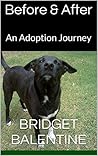 Before & After: An Adoption Journey