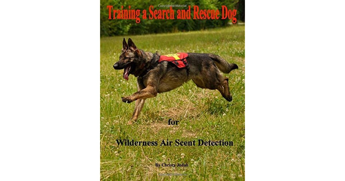 compressed air dog training