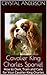 Cavalier King Charles Spaniel: How to Own, Train and Care for Your Cavalier King Charles Spaniel Dog