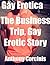 Gay Erotica: The Business Trip, Gay Erotic Story