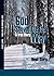 GOD SHOWED US THE WAY by Noah Stern