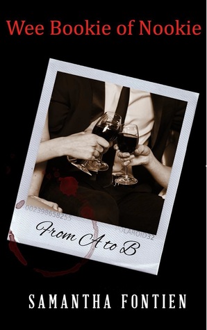 From A to B (Wee Bookie of Nookie, #2)