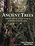 Ancient Trees by Anna Lewington