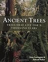 Ancient Trees: Trees That Live for a Thousand Years