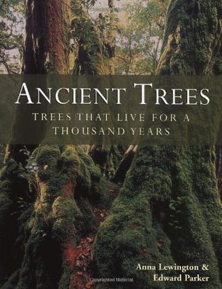 Ancient Trees: Trees That Live for a Thousand Years (Paperback)