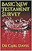 Basic New Testament Survey