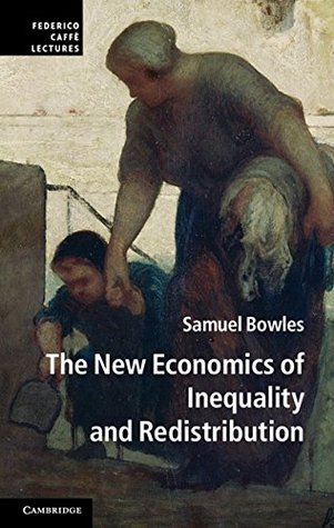 The New Economics of Inequality and Redistribution (Paperback)