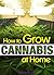 How to Grow Cannabis at Home by Tyler Pineda