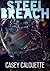 Steel Breach