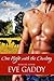 One Night with the Cowboy (Whiskey River, #2)