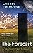 The Forecast by Audrey Tolhouse