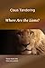 Where Are the Lions? - Tales from the New Jerusalem by Claus Tøndering