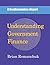 Understanding Government Fi...