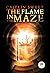 The Flame in the Maze