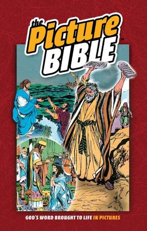 The Picture Bible (Hardcover)