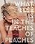 What Else Is in the Teaches of Peaches