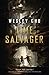 Time Salvager (Time Salvager, #1)
