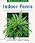 Indoor Ferns (The Success With Series)