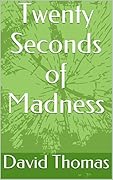 Twenty Seconds of Madness