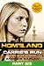 Homeland by Andrew Kaplan