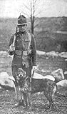 War Dogs: Scout, ...
