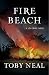 Fire Beach (Lei Crime, #8)