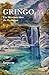 Gringo: Ein Märchen über die Evolution (German Edition)