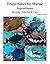 TRiggerfishes for Marine Aq...