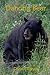 Dancing Bear
