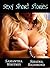Sexy Short Stories