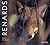 Renards