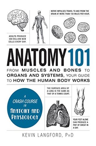Anatomy 101: From Muscles and Bones to Organs and Systems, Your Guide to How the Human Body Works (Adams 101 Series)