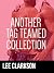 Another Tag Teamed Collecti...