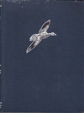 The Snow Goose