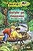 Gefahr am Amazonas (Das magische Baumhaus #6)
