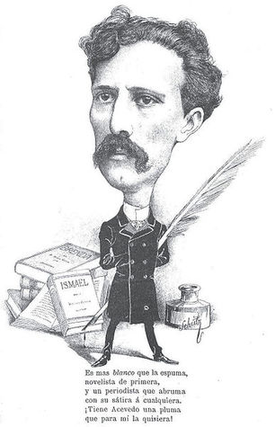 Sin pasión y sin divisa (ebook)