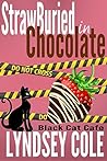 StrawBuried in Chocolate by Lyndsey Cole