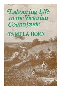 Labouring Life in the Victorian Countryside (Hardcover)