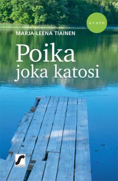 Poika joka katosi (Paperback)