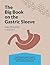 The BIG Book on the Gastric Sleeve: Everything You Need To Know To Lose Weight and Live Well with the Vertical Sleeve Gastrectomy (The BIG Books on Weight Loss Surgery 2)