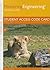 Electrical Engineering: Principles & Applications [with MasteringEngineering Code]