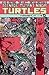 Teenage Mutant Ninja Turtles, Volume 12: Vengeance, Part 1