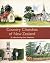 Country churches of New Zea...