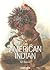 The American Indian by Karl Bodmer