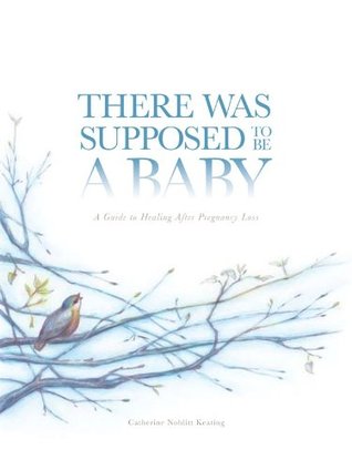 There Was Supposed To Be A Baby: A Guide to Healing After Pregnancy Loss (Paperback)