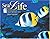 Sea Life 2006 Calendar