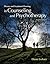 Theory and Treatment Planning in Counseling and Psychotherapy by Diane R. Gehart