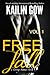 Free Fall Vol. 1 (Donovan Brothers #3)